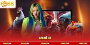 AOG đá gà