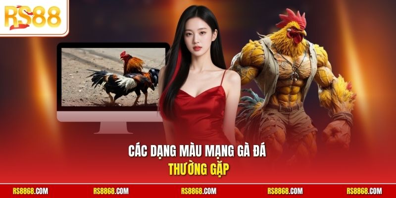 Các dạng màu mạng gà đá thường gặp