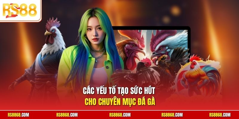 Các yếu tố tạo sức hút cho chuyên mục đá gà