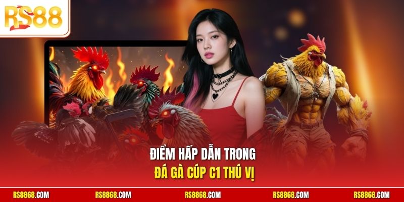 Điểm hấp dẫn trong đá gà Cúp C1 thú vị