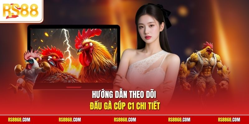 Hướng dẫn theo dõi đấu gà Cúp C1 chi tiết