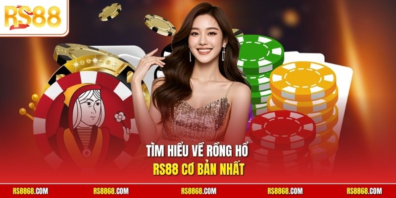 Tìm hiểu về Rồng Hổ RS88 cơ bản nhất