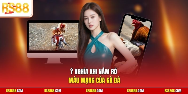 Ý nghĩa khi nắm rõ màu mạng của gà đá